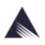 泛林集团 logo