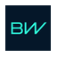 BorgWarner logo