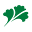 荷美尔 logo