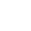 纽迪希亚 logo